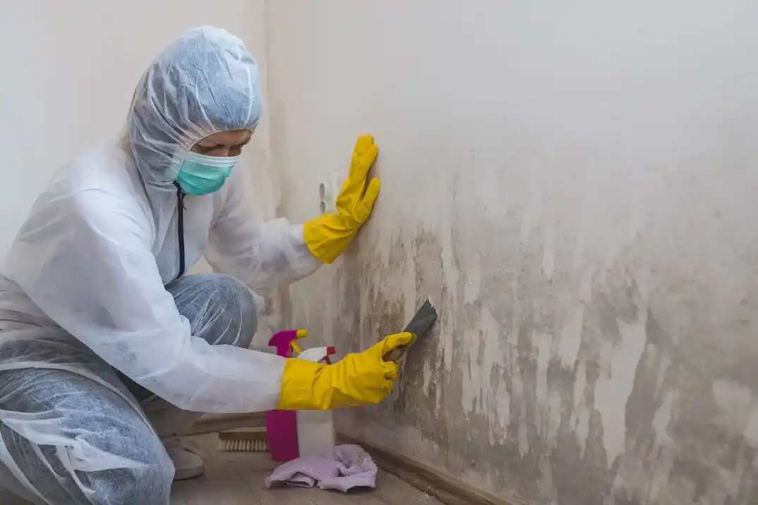 water damage restoration service Creighton